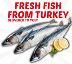 Picture of Turkish Branzino (Levrek) 1.1lb (approximately)